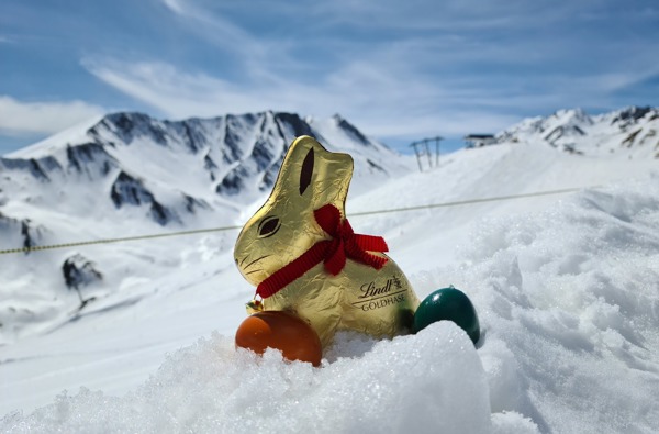 Pension Sonnenhof*** - 487440771 24149815187940501 8878914926826530630 N