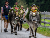 Wanderhotel Jaufentalerhof**** - AW3 6869