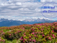 Sonnenhotel Adler Spa & Nature Adults only**** - 20 Prozent Alpenrosenbluete Villanderer Alm