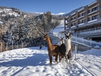 Hotel Torgglerhof***S - Torgglerhof