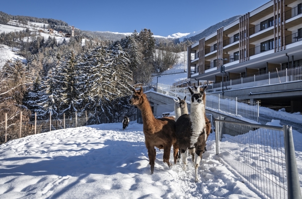 Hotel Torgglerhof***S - Torgglerhof